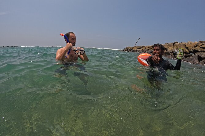 Snorkeling with Turtles in Mirissa - Price and value: is $25 a good deal?