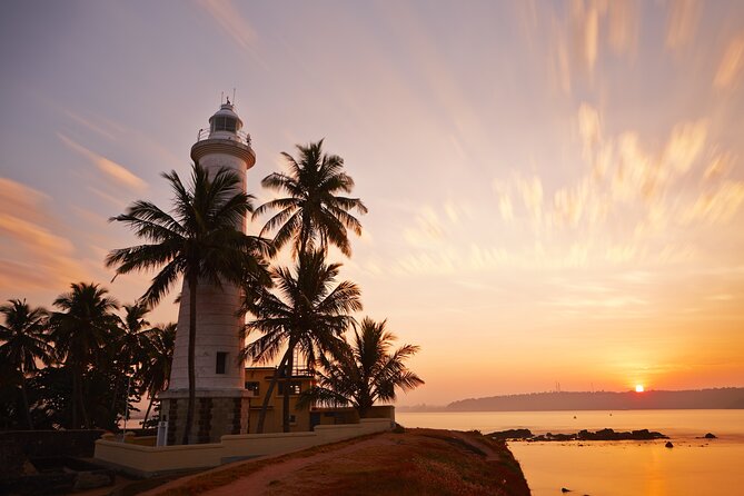 Southern Coast Highlights from Colombo - Who this tour suits best, and who should look elsewhere