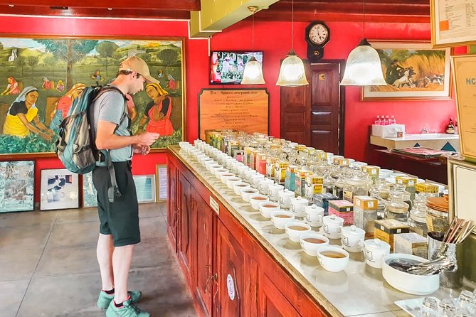 Southern Coast Highlights from Colombo - Colombo pickup and morning orientation without the headache