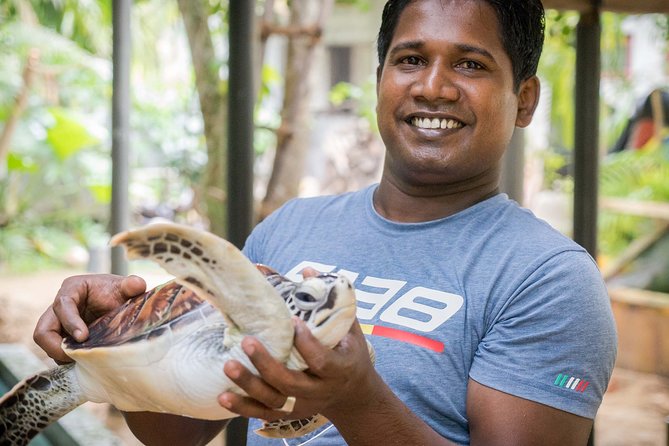Southern Sri Lanka Sightseeing Day Trip From Colombo & Negombo - Madu Ganga Boat Safari: Mangroves, Wildlife, and Fish Foot Massage