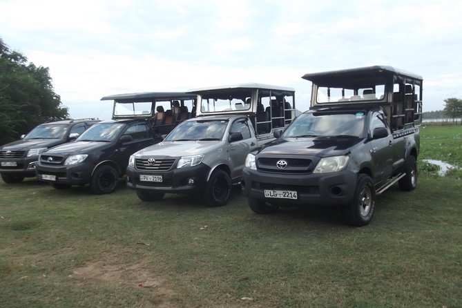 Special leopards safari Yala National park - 04.30 am to 11.30 am - Key highlights that matter in Yala