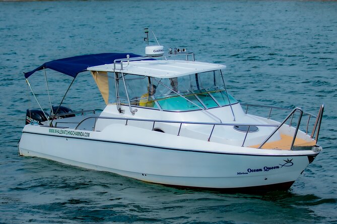 Sports Boat- Private Whale Watching Trip( free breakfast & paid pick-up) - Key highlights at a glance