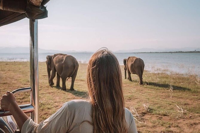 Sri Lanka 03 night 04 days budget tour package - Hotels, comfort, and what “budget” means here
