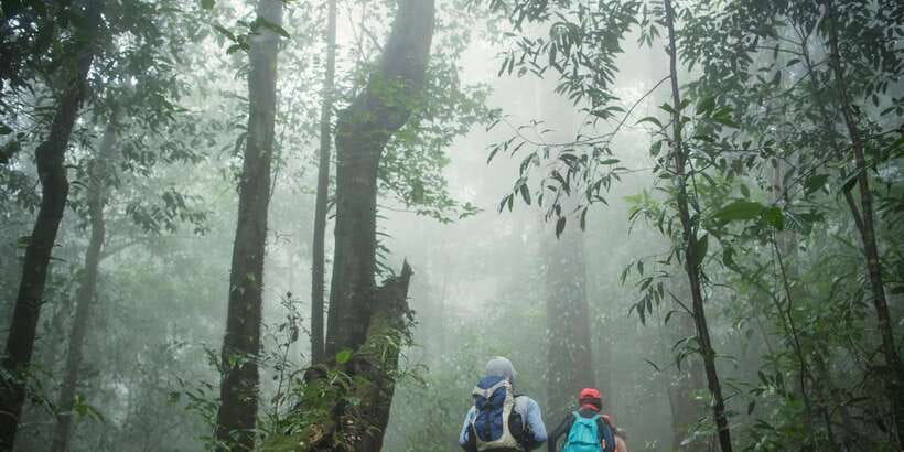 Sri Lanka: 2-Day wildlife tour; rainforest and National park - Key highlights in plain English