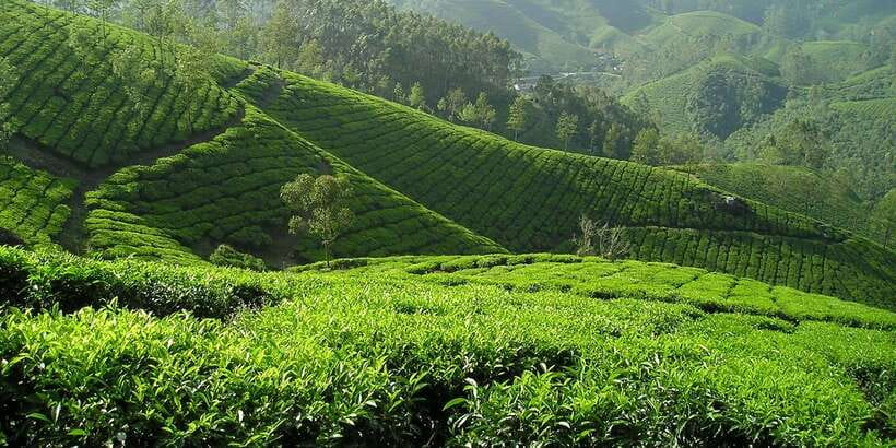 Sri Lanka: 2-Day wildlife tour; rainforest and National park - Who should book this tour (and who should skip it)