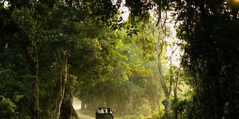 Sri Lanka: 2-Day wildlife tour; rainforest and National park - Day 2 starts with the blue train to Nuwara Eliya