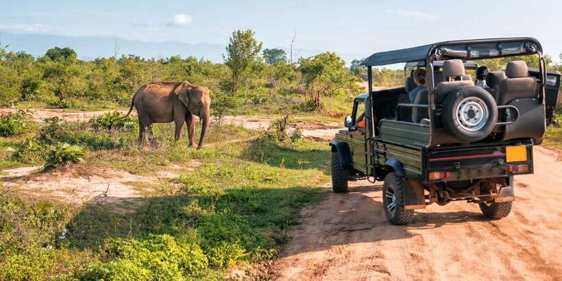 Sri Lanka: 2-Day wildlife tour; rainforest and National park - Tea country stops in Nuwara Eliya: plantation, factory, and a lake break