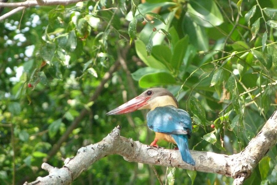 Sri Lanka: 2-Day wildlife tour; rainforest and National park - Price and logistics: what $350 per person gets you, and what can cost extra
