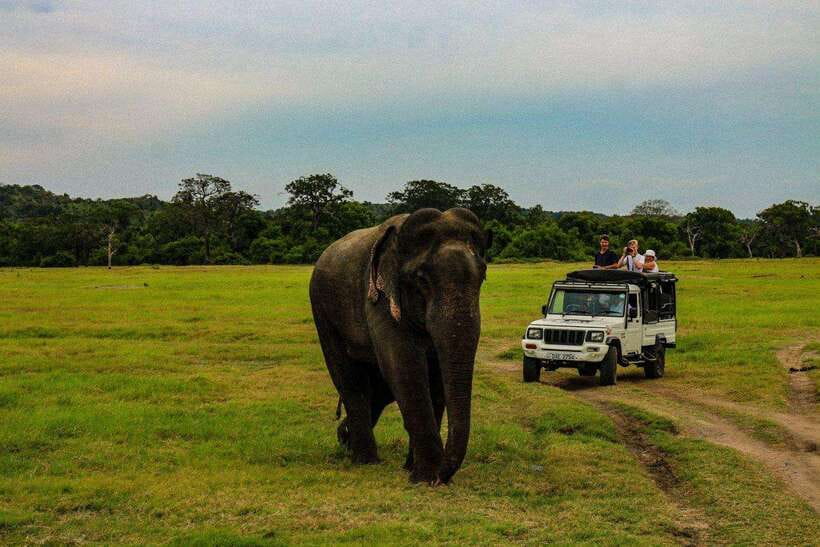 Sri Lanka: 3N4Day guided FULL TOUR with hotel accommodations - Day 2: Minneriya Safari, Sigiriya Village Tour, and a Cultural Dance Show