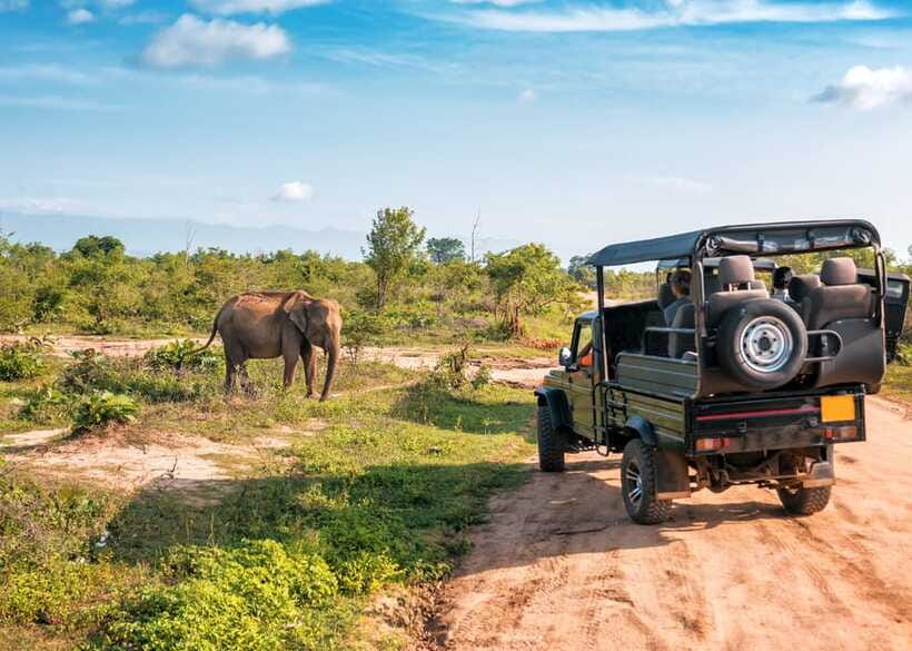 Sri Lanka: 4-Day Private Tour Focusing on Cultural Triangle - Day 3: Sigiriya sunrise climb and Dambulla cave murals