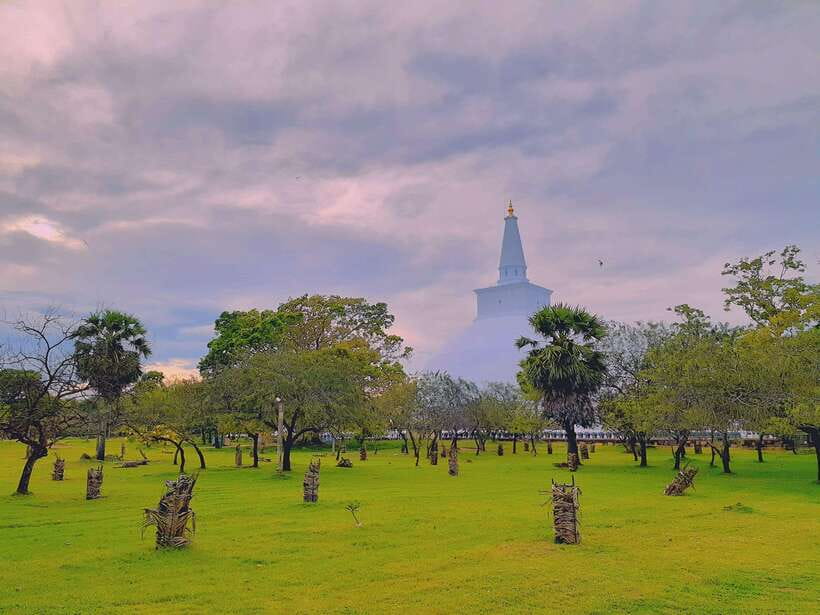 Sri Lanka: 4-Day Private Tour Focusing on Cultural Triangle - Temple dress and comfort basics that keep the day easy