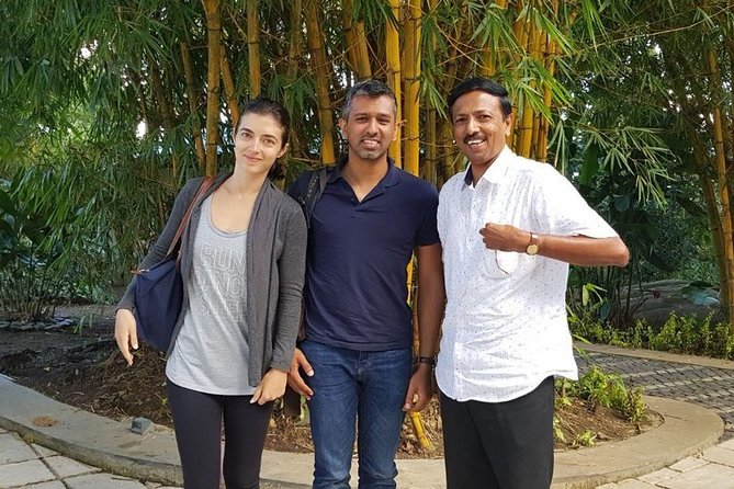 Sri Lanka 5-Day Private Car Hire with Driver-Guide - Key things I’d want you to know before booking