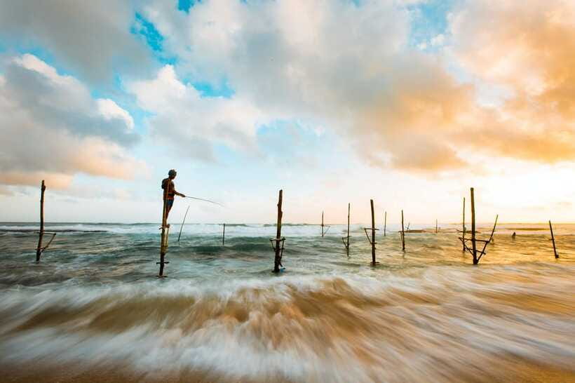 Sri Lanka 5-Day Private Country Side Tour Car, Hotels, Food - Food and hotel reality check, what is included and what is up to you