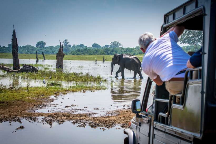 Sri Lanka: 5 Days Multi City Sightseeing Tour - Key highlights worth your attention