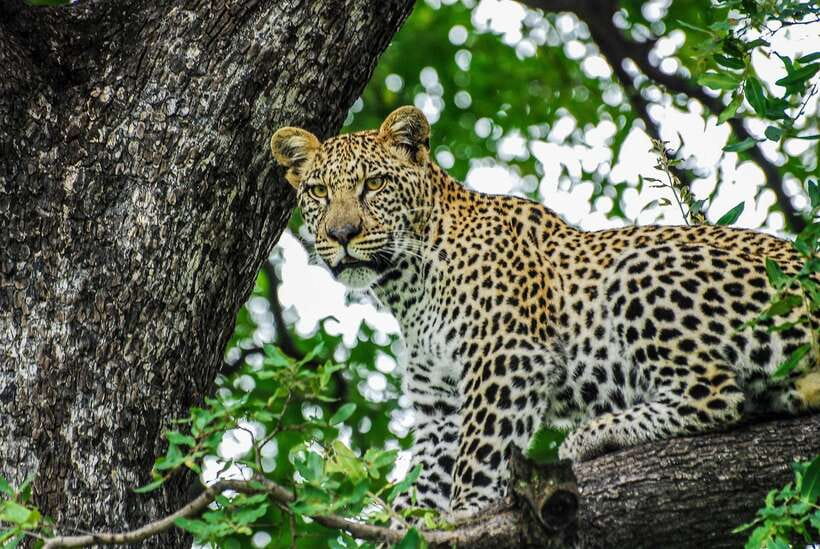 Sri Lanka: 7-Day Off-The-Beaten Path Private Tour - Key takeaways before you choose this private tour