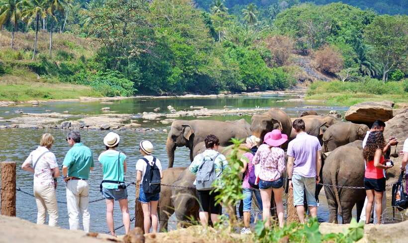 Sri Lanka: 7-Day Off-The-Beaten Path Private Tour - Ella plus waterfalls: Mini Adams Peak and Nine Arch Bridge time