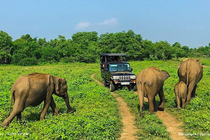 Sri Lanka 8 days Tours with Privet Vehicle & Accommodations (B/B) - Day 4: Nanu Oya to Ella train views and the Nine Arches Bridge