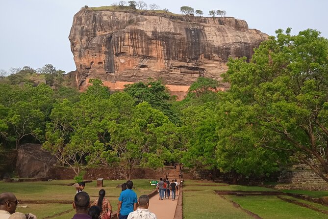 Sri Lanka 8 days Tours with Privet Vehicle & Accommodations (B/B) - Day 6: Mirissa whale watching, Kalametiya bird time, and Coconut Tree Hill