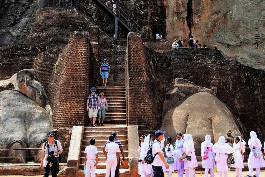 Sri Lanka Bentota: Day Trip to Sigiriya and Dambulla Temple - Minneriya Wildlife Viewing: The Safari-Style Break in the Middle