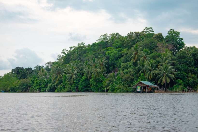 Sri Lanka Bentota: Private Mangrove Lagoon and River Cruise - Crocodiles, monitors, and the art of looking for movement