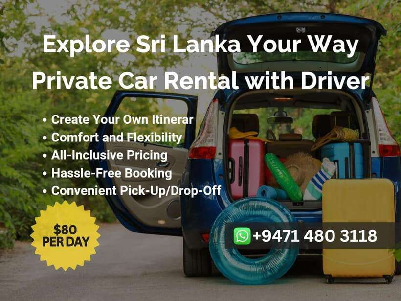 Sri Lanka Car Rental with Driver - 3 Days Minimum, 180km/Day - A private car with driver that gives you control, not chaos