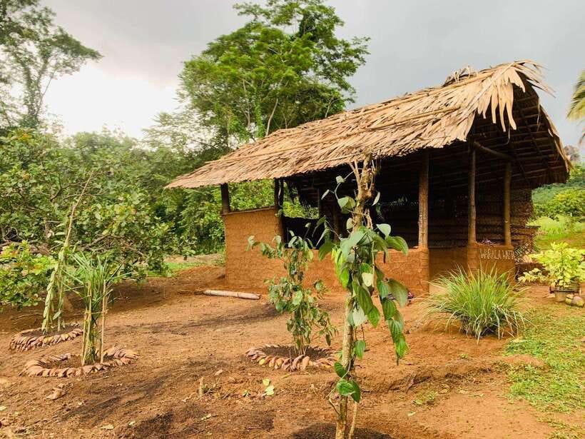 Sri Lanka: Ceylon Cinnamon Experience & Spice Garden Tour - Warala Watta Farm: where Sri Lanka spices feel real