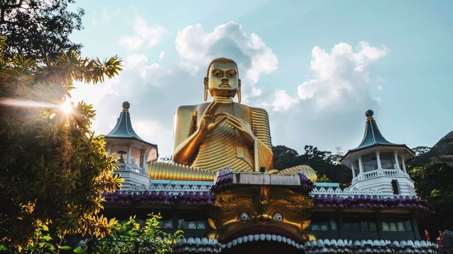 Sri Lanka Cultural Triangle Private 2-Day Tour+Wildlife Tour - Transport, timing, and comfort on a two-day sprint