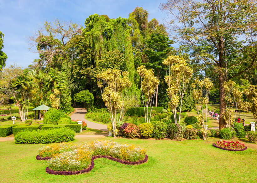Sri Lanka Cultural Triangle Private 2-Day Tour+Wildlife Tour - Price and value: what $295 buys, and what you still pay