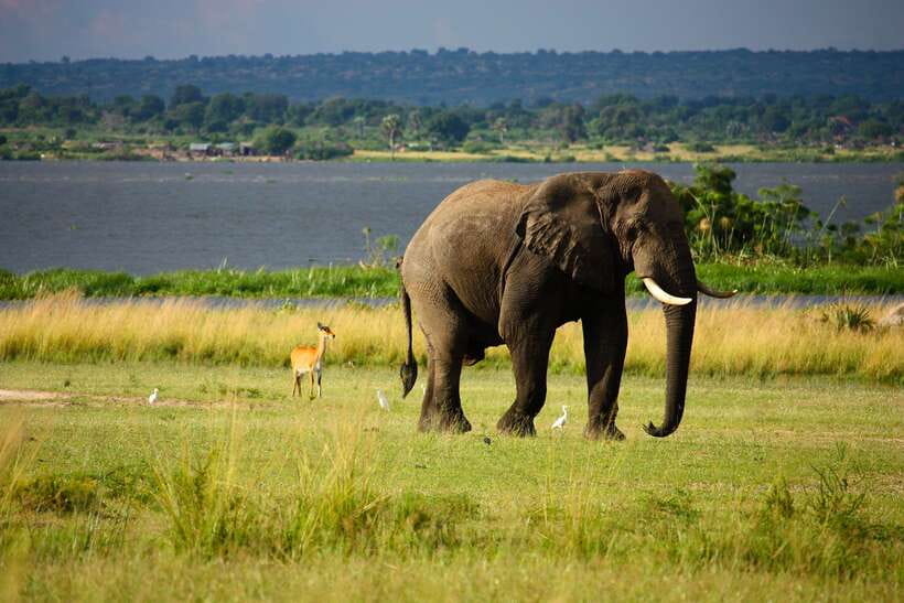 Sri Lanka Cultural Triangle Private 2-Day Tour+Wildlife Tour - Day 2: Polonnaruwa, Spice Matale, and the Road Into Kandy