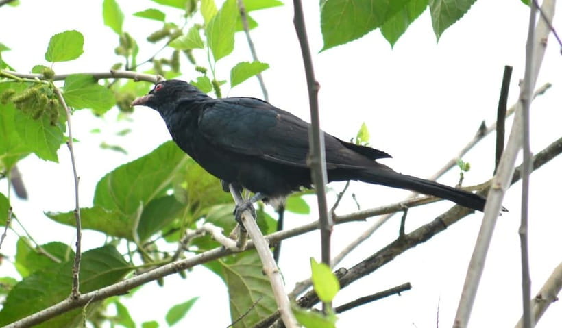 Sri Lanka Green Bless- 2-day Private Trip To Enjoy Nature - Key moments that make this tour worth your time