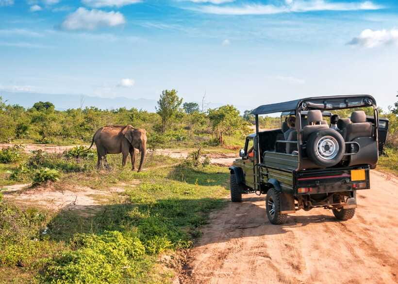 Sri Lanka Green Bless- 2-day Private Trip To Enjoy Nature - Yala safari: big cat hopes, plus the discipline to wait