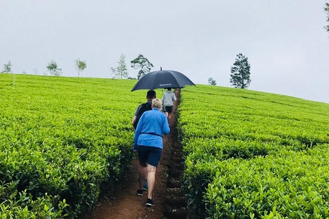 Sri Lanka highlights in 6 days - Day 3: Dambulla Cave Temple, Kandy’s Sacred Tooth, and City Views