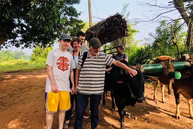 Sri Lanka highlights in 6 days - Day 5: Little Adam’s Peak, Nine Arches Bridge, and Yala Safari Odds