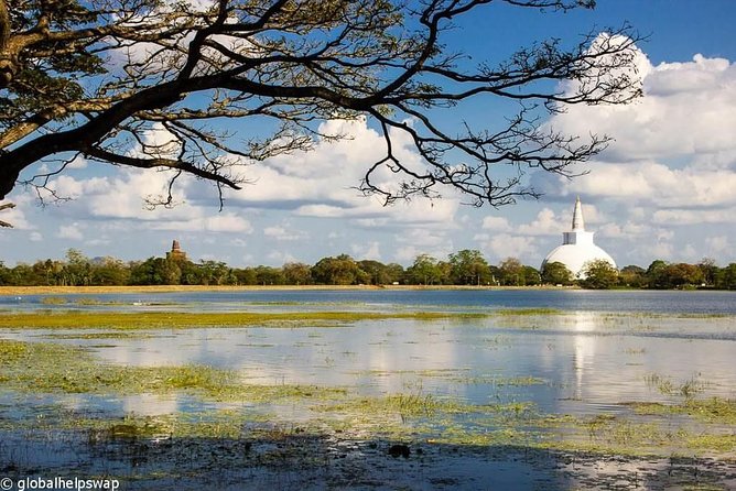 Sri Lanka Multi Day Car Hire with English Speaking Driver-Guide - How This 4-Day Sri Lanka Car Hire Works (And Why It Feels Easier)