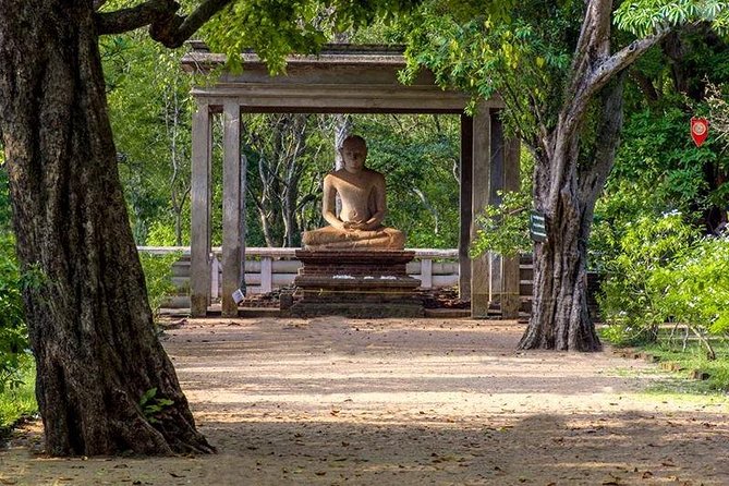 Sri Lanka Multi Day Car Hire with English Speaking Driver-Guide - The Real Benefit: A Driver-Guide Who Can Adapt Your Day