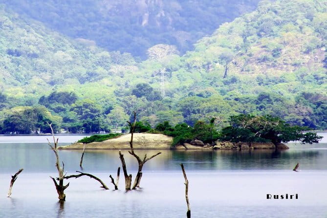 Sri Lanka Nature, Culture and Wild tour - Sigiriya and Minneriya: Lion Rock Views Plus Safari Time