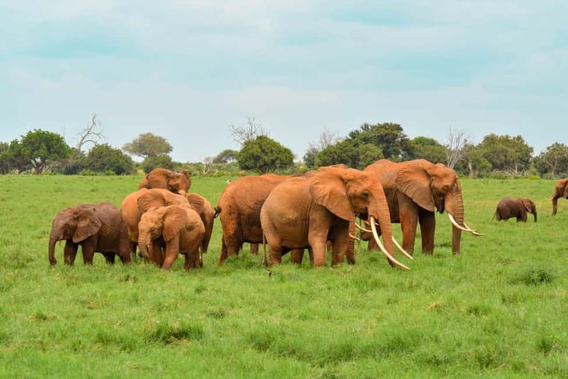Sri Lanka Nature, culture, history and wildlife in 4 days - Key Things You’ll Notice on This Tour