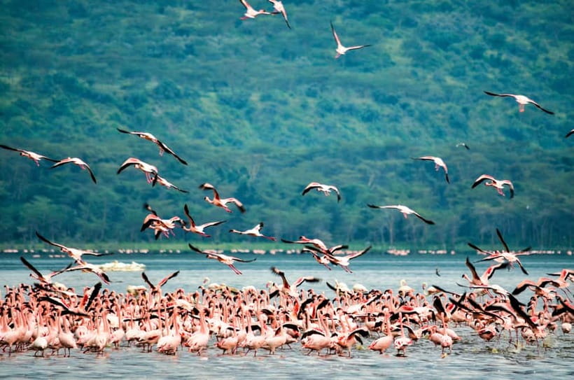 Sri Lanka Nature, culture, history and wildlife in 4 days - Practical Tips That Can Save You Money and Headaches
