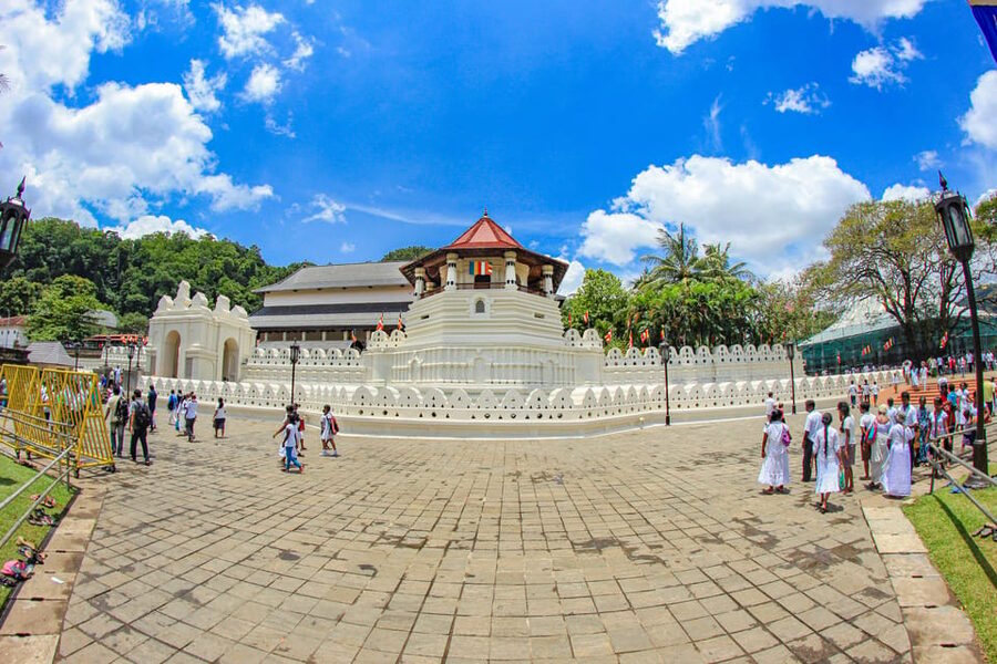 Sri Lanka Nature, culture, history and wildlife in 4 days - Who Should Book This 4-Day Nature and Culture Tour