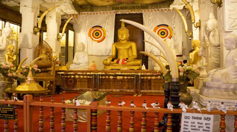 Sri Lanka Private 2-day Tour:Train Trip, Kandy, Nuwara Eliya - Peradeniya Botanical Garden, 60 Hectares of Plants and Orchids