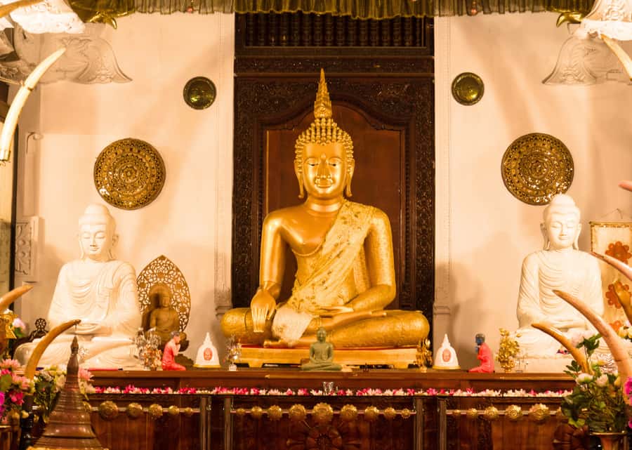Sri Lanka Private 2-day Tour:Train Trip, Kandy, Nuwara Eliya - Tea Factory Visit, Fresh Ceylon Tasting, and What to Ask For