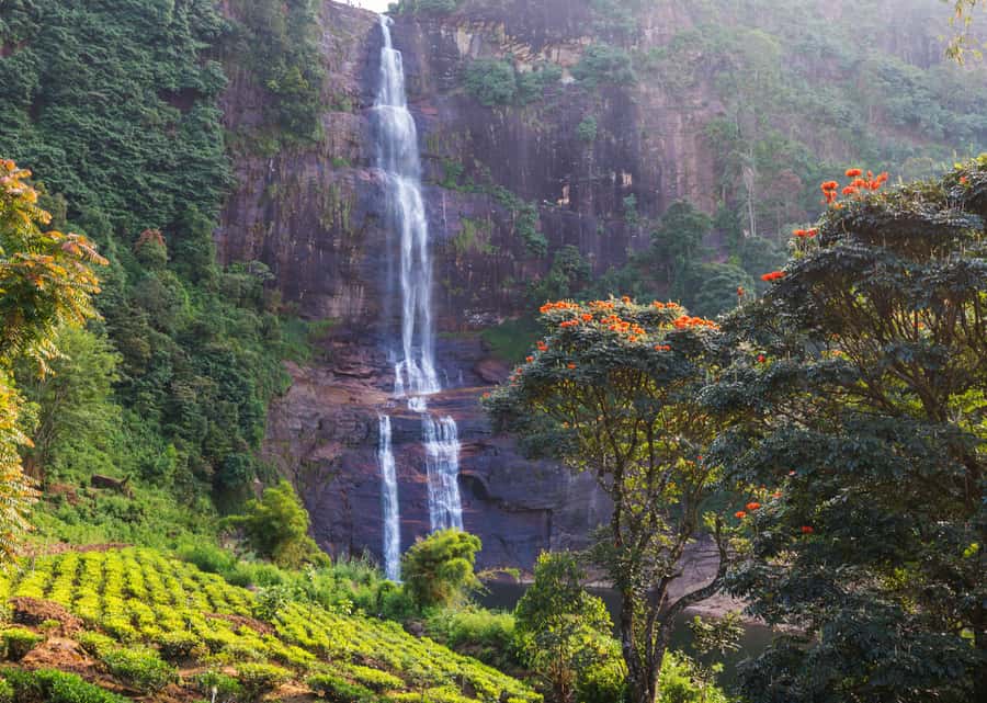 Sri Lanka Private 2-day Tour:Train Trip, Kandy, Nuwara Eliya - Temple of the Tooth Relic in Kandy, and Getting Your Bearings
