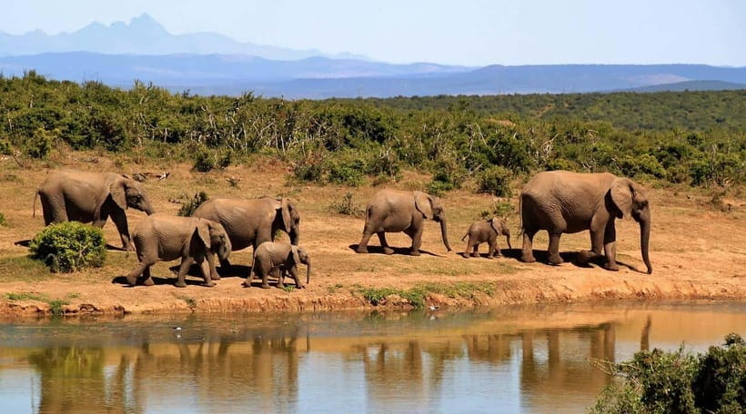 Sri Lanka Private 3-nights Tour Transport, Guide, Hotels - Who This Tour Suits Best