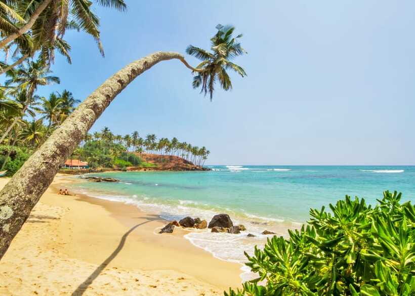 Sri Lanka Private 3-nights Tour Transport, Guide, Hotels - Day 4 Ella to Colombo: Mirissa Beach, Galle Fort, and Bentota Coast Time