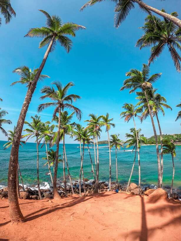 Sri Lanka Private 8-day Tour; Transport, Guide, Hotels, Food - Key things to know before you go