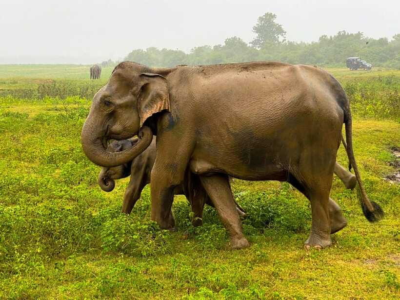 Sri Lanka Private 8-day Tour; Transport, Guide, Hotels, Food - Price and value: what the $899 covers, and what you’ll pay extra