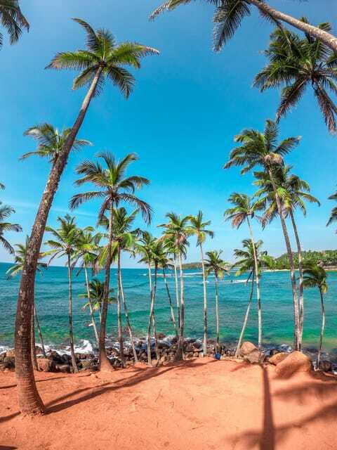 Sri Lanka Private 8-day Tour; Transport, Guide, Hotels, Food - Ella: Mini Adams sunrise, Ella Rock, nine arches, and waterfall and temple stops