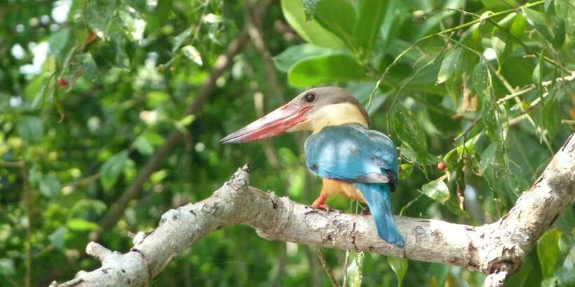 Sri Lanka Private Galle Tour: stilt fisherman, Galle Fort... - Should You Book This Galle Tour?