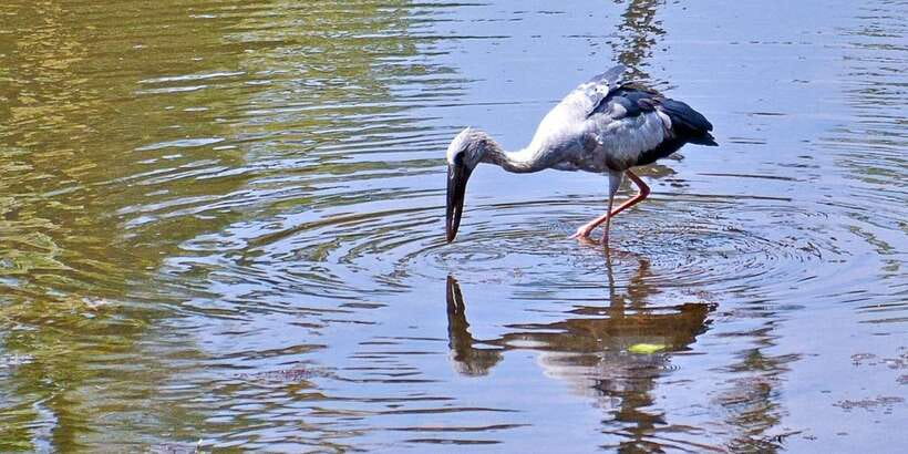 Sri Lanka Private Galle Tour: stilt fisherman, Galle Fort... - Price and Value: When the Real Cost Adds Up