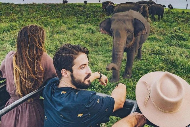 Sri Lanka private tour package 9 night 10 Day with driver+vehicle+accommodations - Sigiriya Rock Fortress and Polonnaruwa, the classic “wow” day